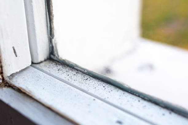 Best Mold Documentation for Insurance Claims  in Woodsfield, OH